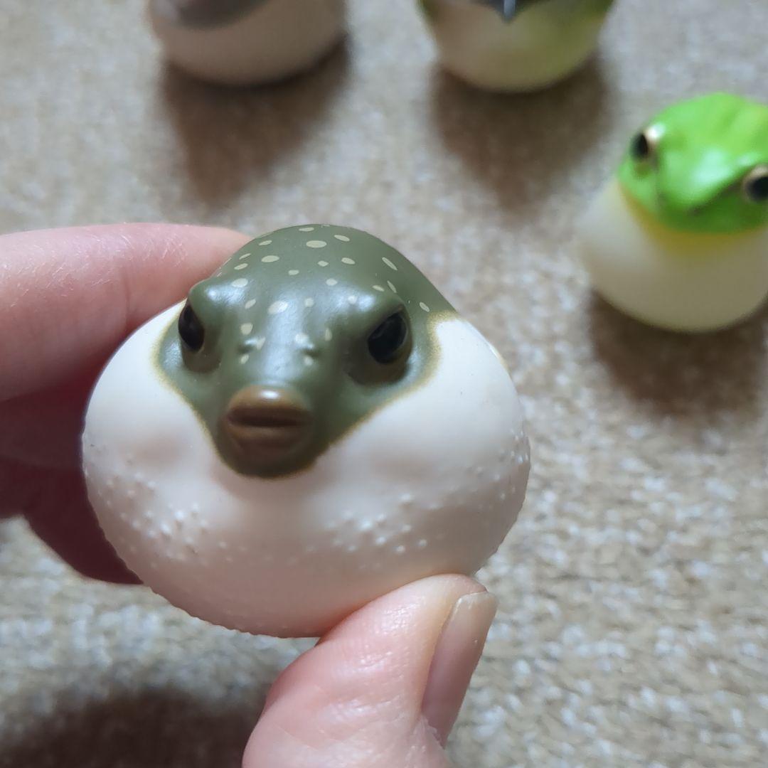 てのりフレンズ リクガメ レッサーパンダ すずめ バラ売りあり