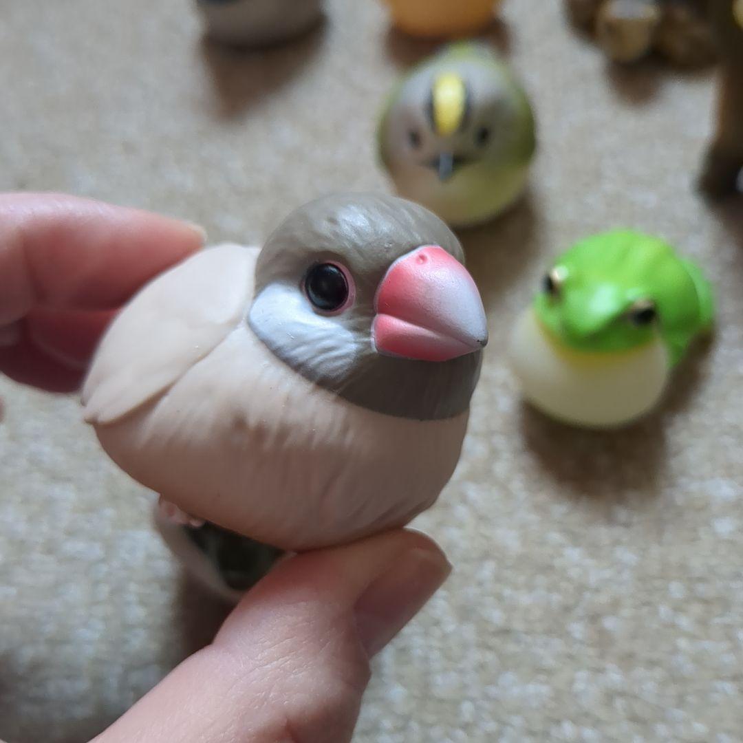 てのりフレンズ リクガメ レッサーパンダ すずめ バラ売りあり
