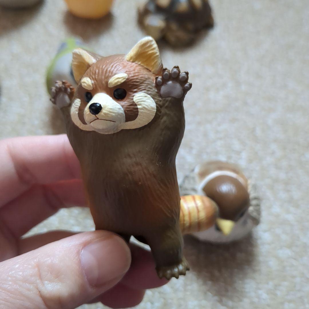 てのりフレンズ リクガメ レッサーパンダ すずめ バラ売りあり