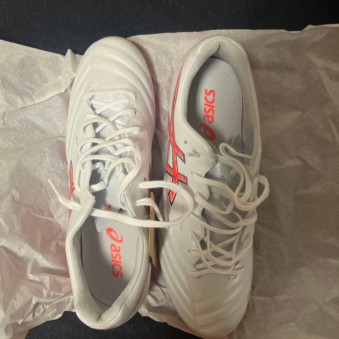 DS LIGHT X-FLY PRO 3 26.5 [新品]