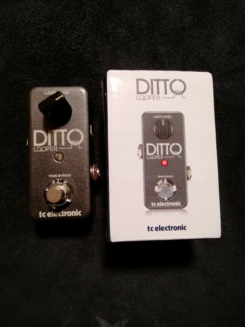 未使用 Ditto Looper ルーパー TC Electronic 元箱