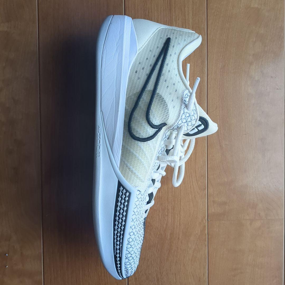 シューズ(男性用) Nike Sabrina1 26cm