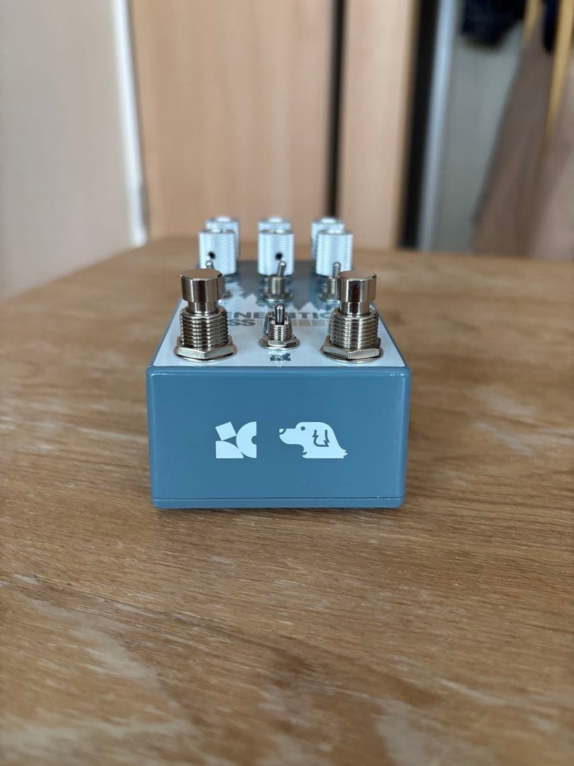 ギター Chase Bliss Audio GENERATION LOSS MK II