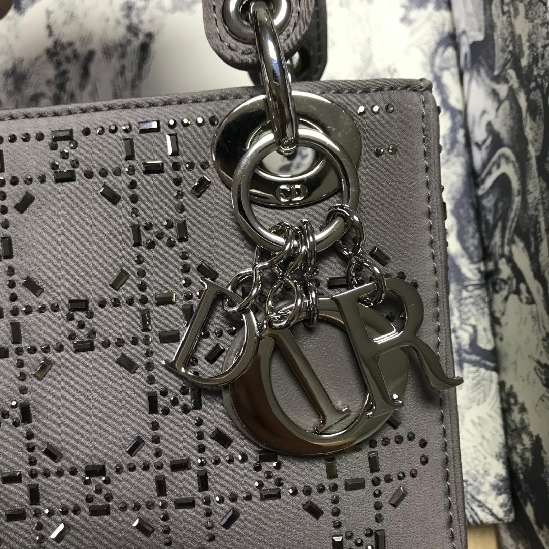 レディデ·ィオール ハンドバッグ