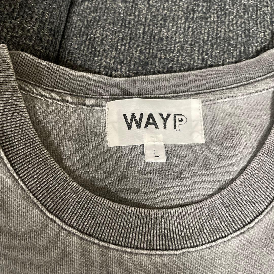 The BLUE HERB ヴィンテージTシャツ L WAYP MUSIC