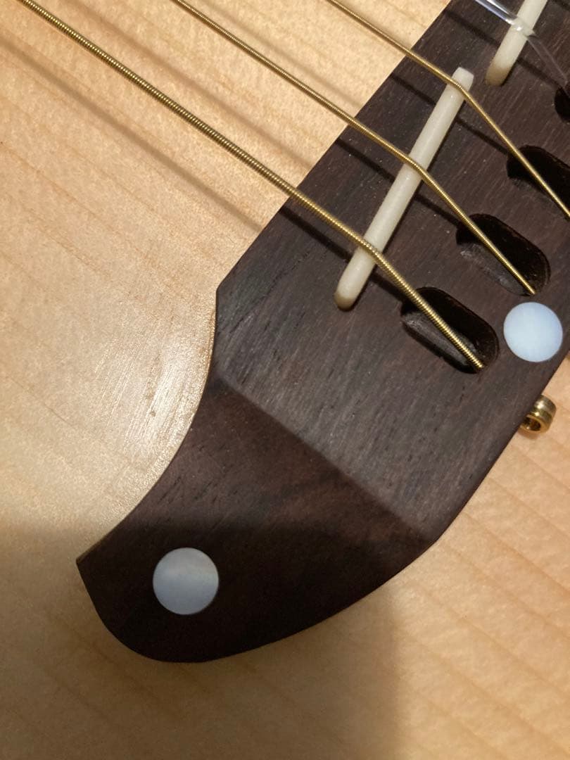 Schecter エレガット OLFL プリアンプ搭載モデル