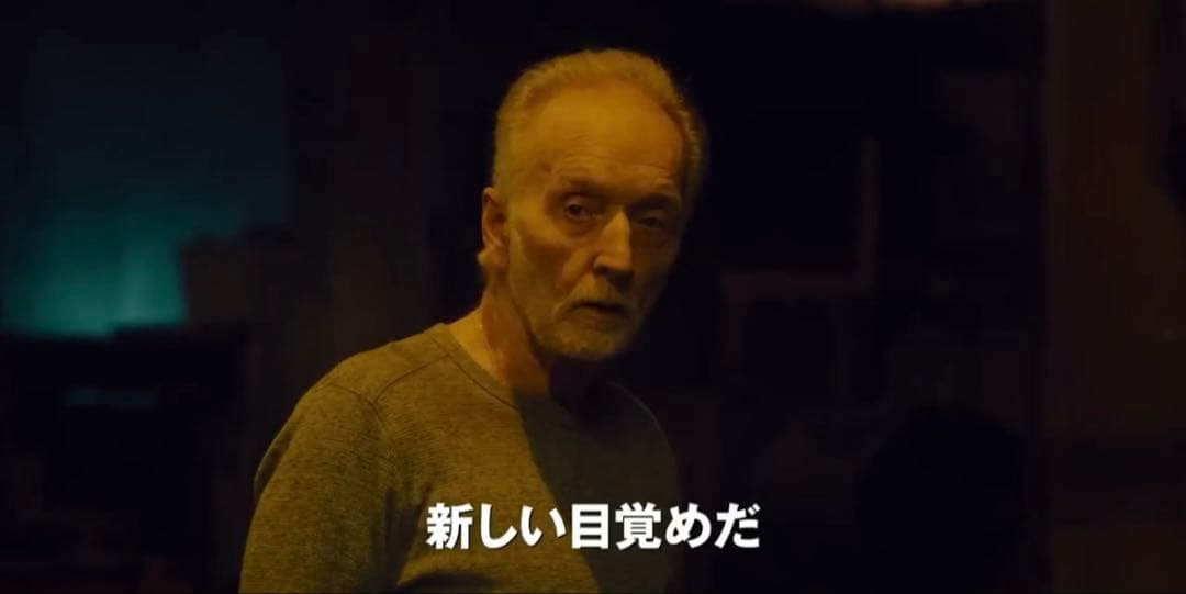 せんよう