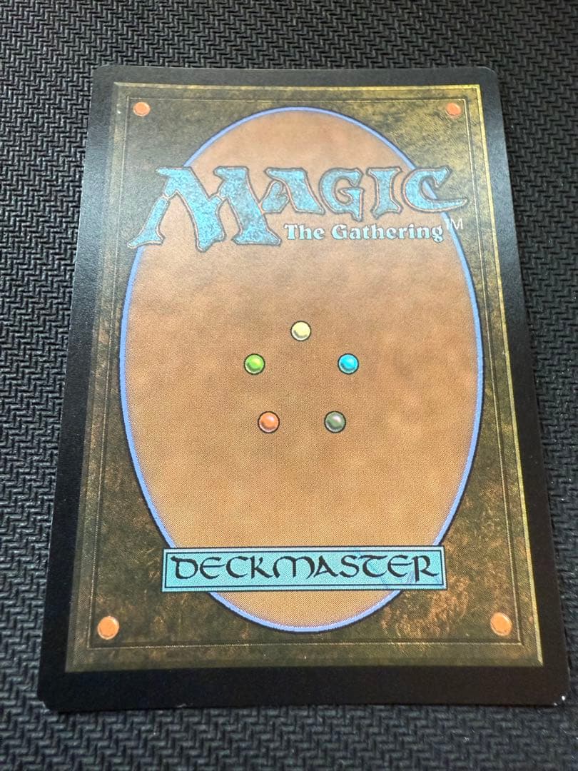 MTG 平地 SLP foil magic conラスベガス