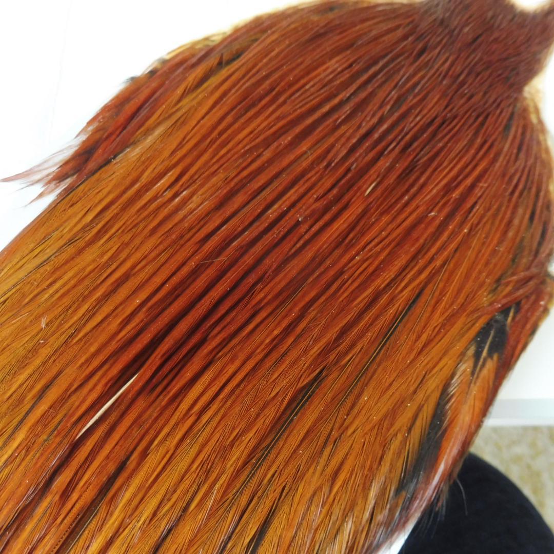 メッツ コックハックルケープ #2 Natural Brown