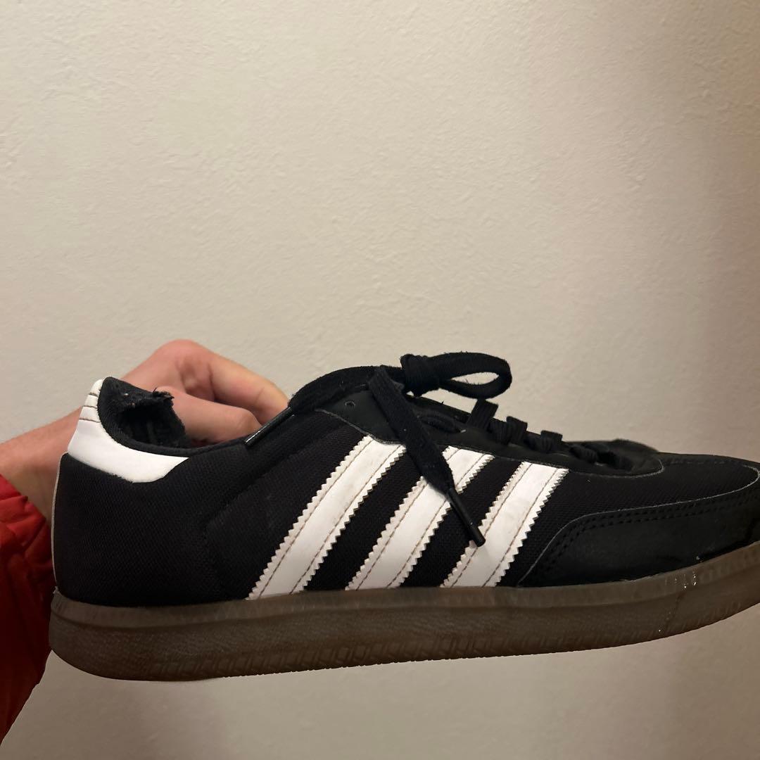 ウェア adidas velosamba