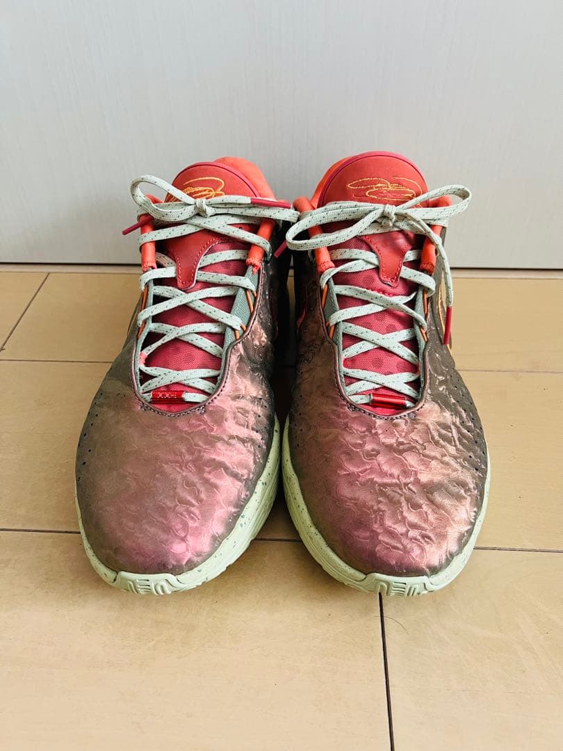 シューズ(男性用) Nike LeBron 21 \"Queen Conch\" 30cm