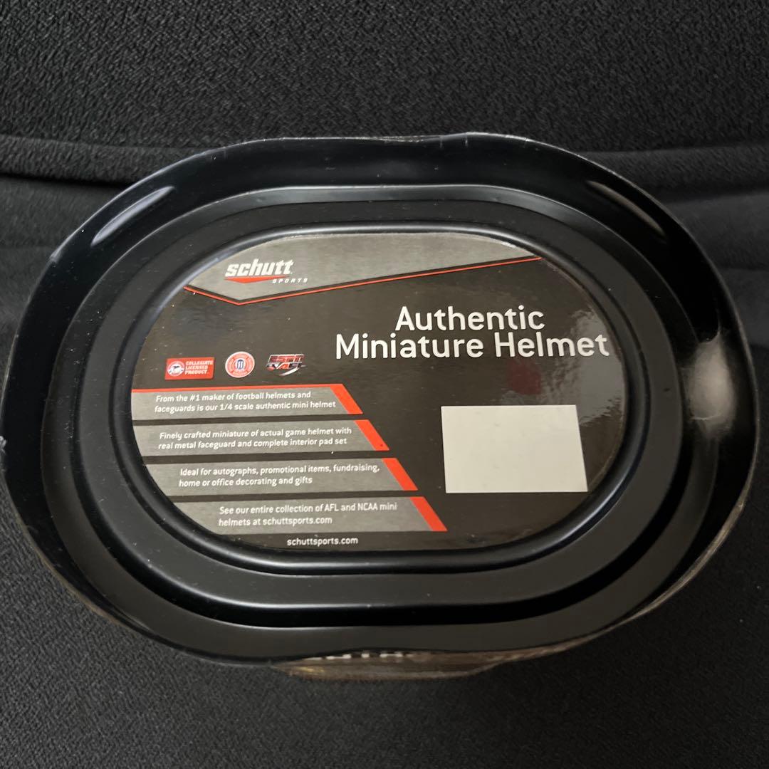 schutt Authentic ミニヘルメット Brutusモデル