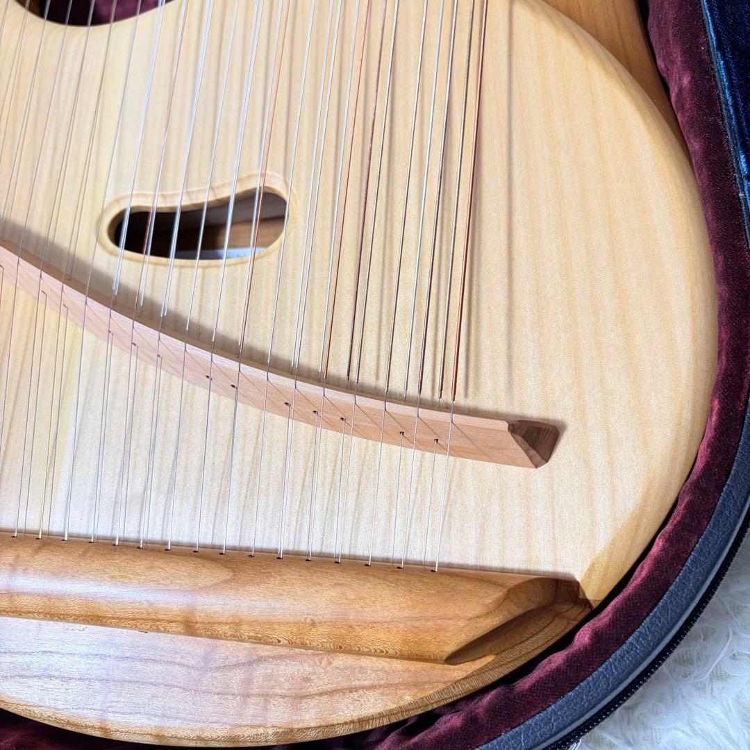 SAITENINSTRUMENTE SOLO SOPRANLEIER 39弦