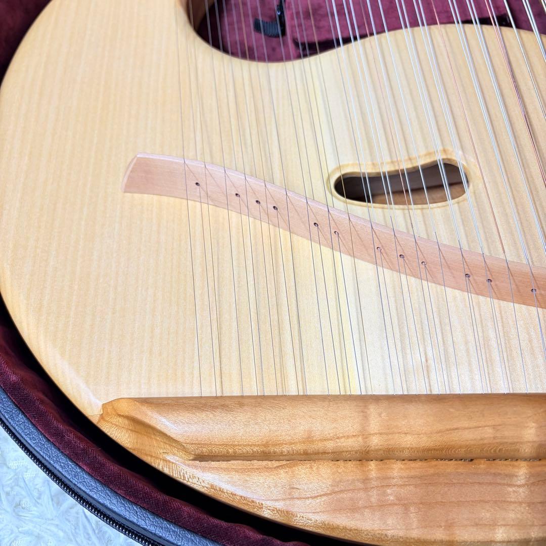 SAITENINSTRUMENTE SOLO SOPRANLEIER 39弦