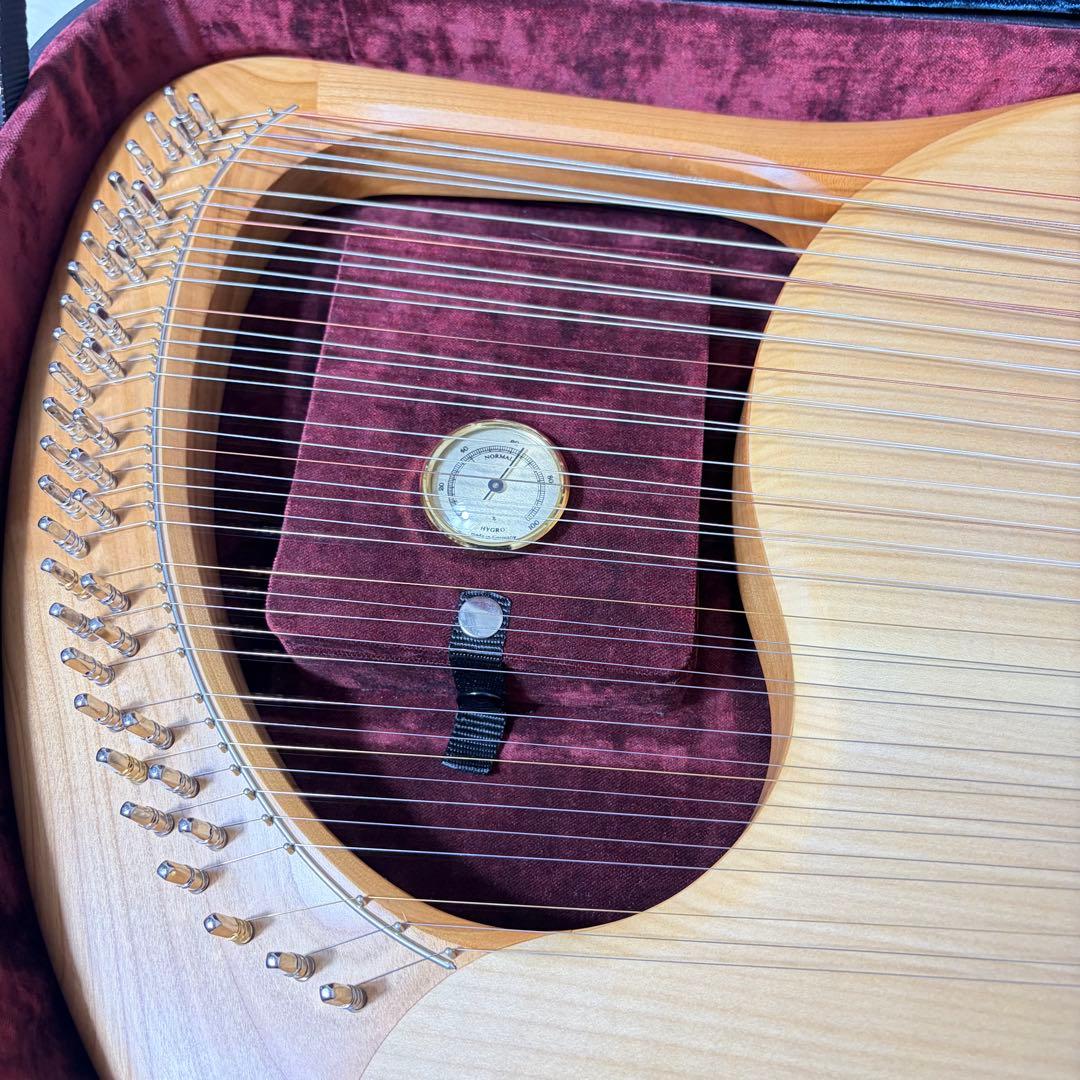 SAITENINSTRUMENTE SOLO SOPRANLEIER 39弦