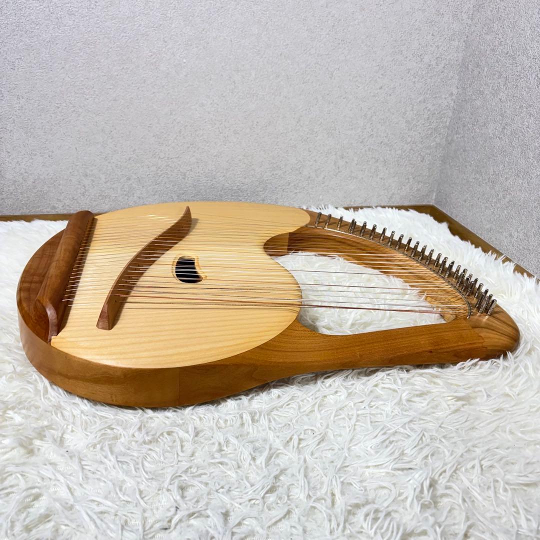 SAITENINSTRUMENTE SOLO SOPRANLEIER 39弦