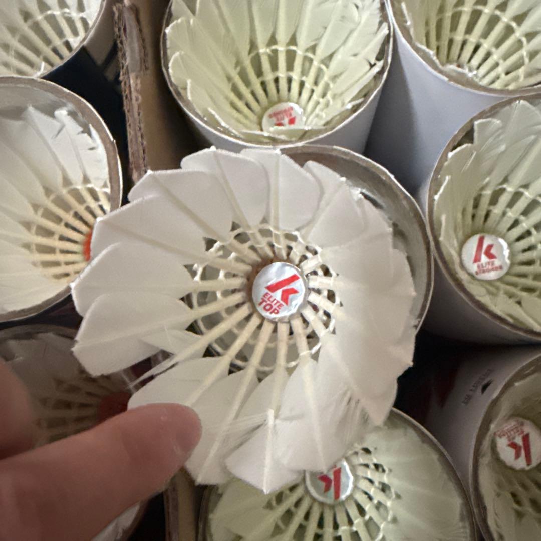 バドミントンシャトル　520球(基礎打ち用)