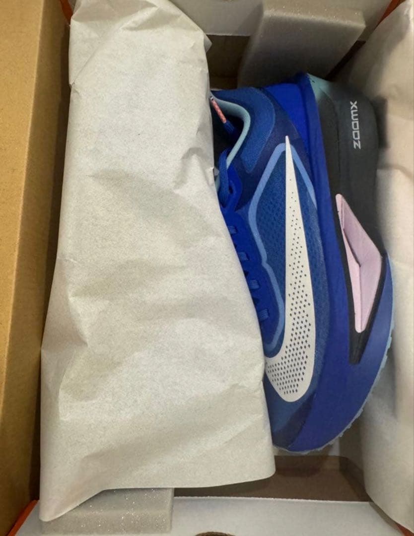 ナイキ ズーム フライ 6 NIKE