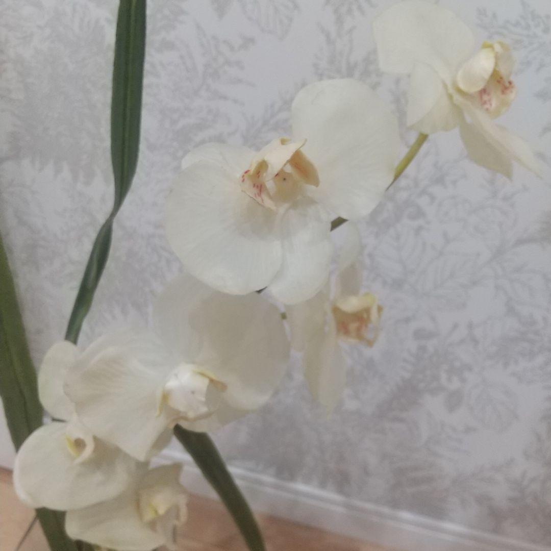 最終値下げエミリオロバ♥️高級アートフラワー胡蝶蘭胡蝶蘭