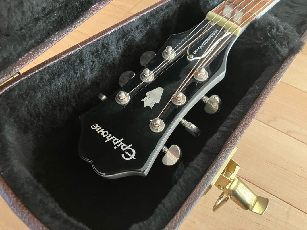 Epiphone humming bird pro Gibsonケース付
