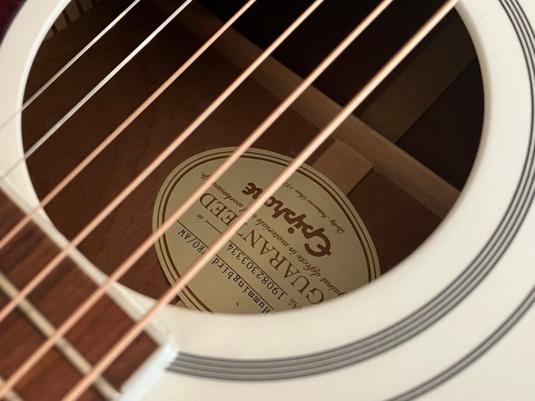 Epiphone humming bird pro Gibsonケース付
