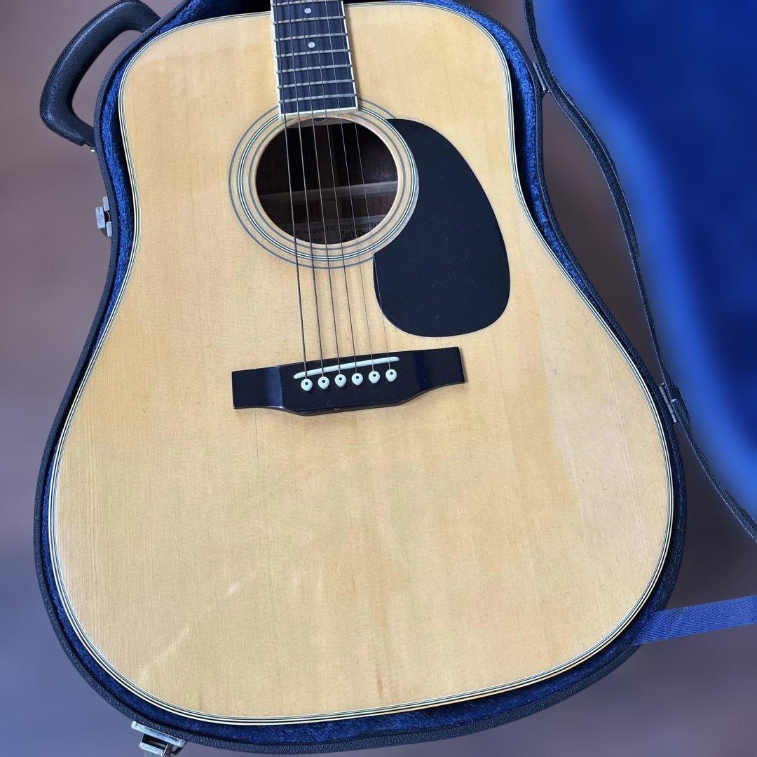 Cats Eyes キャッツアイ CE-250アコースティックギター 日本製