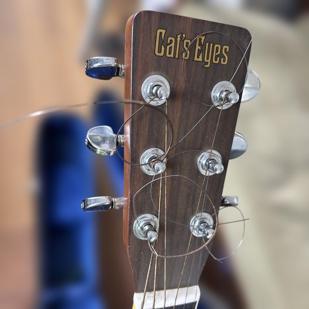 Cats Eyes キャッツアイ CE-250アコースティックギター 日本製