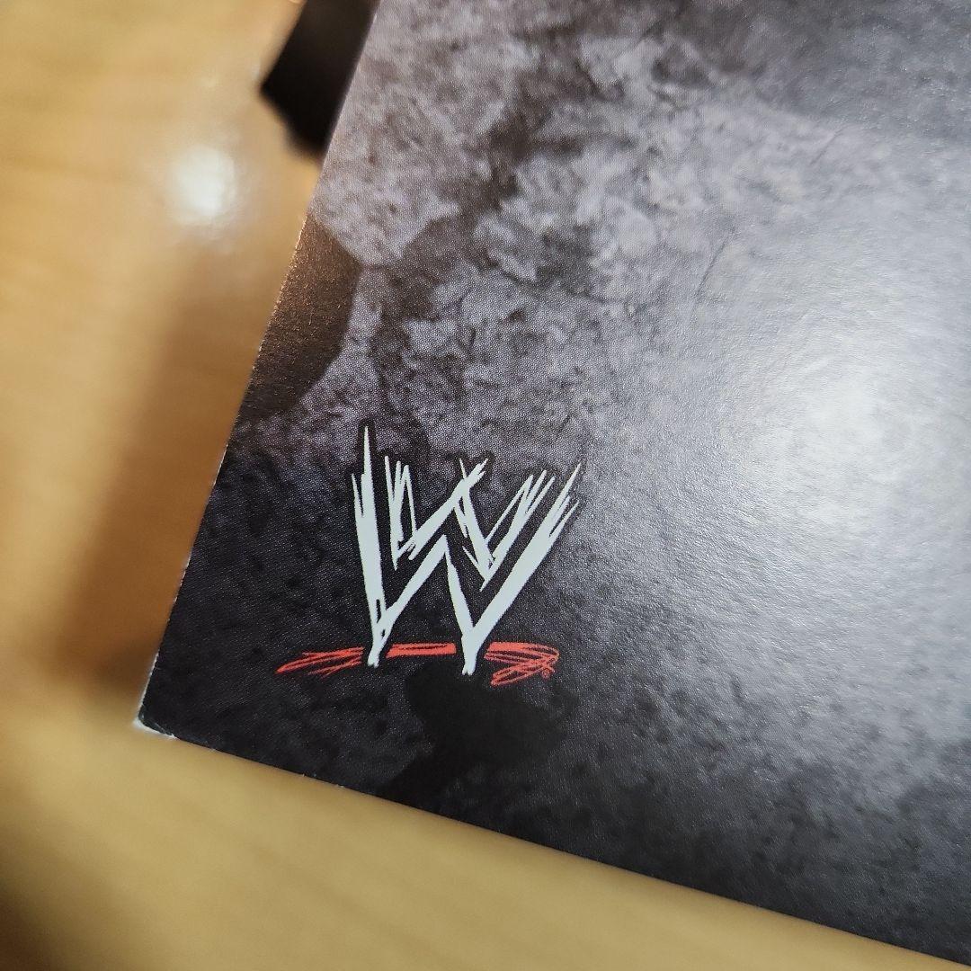 WWE 日本公演　CMパンク　直筆　サイン　ポスター