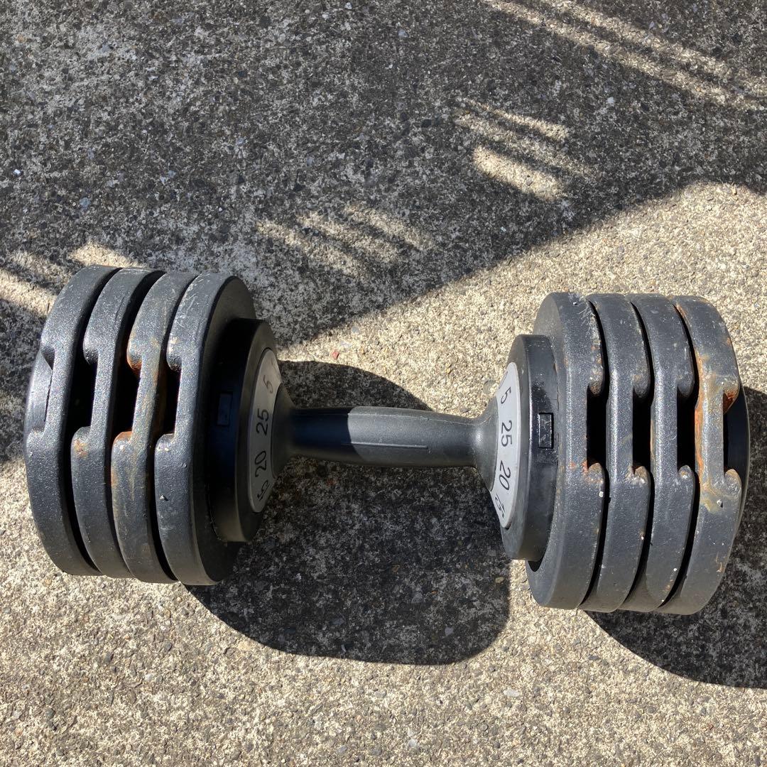 BODY RAJA 可変式ダンベル 25kg 本体のみ