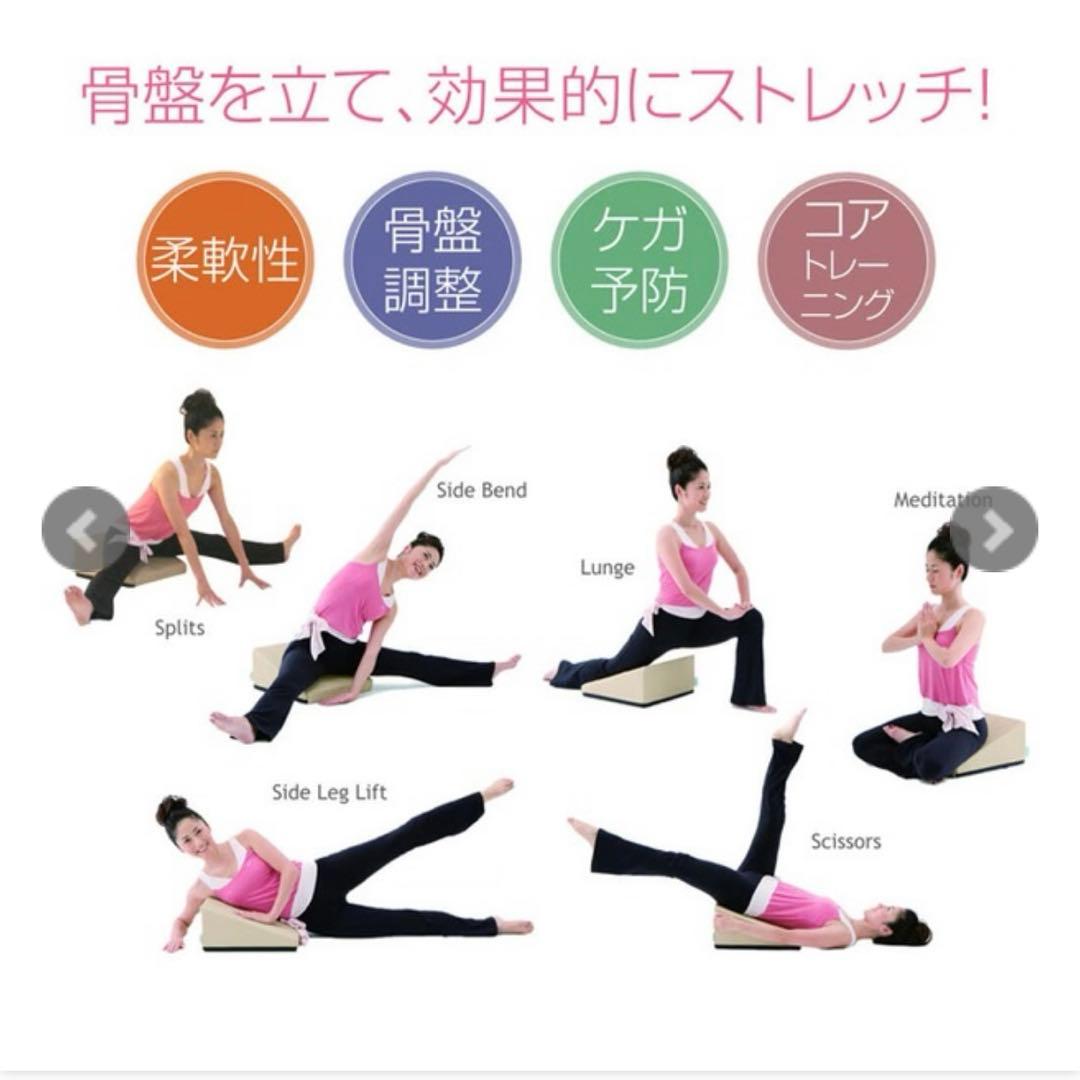 【美品】サンテプラス・フレックスクッション（Flex Cushion）