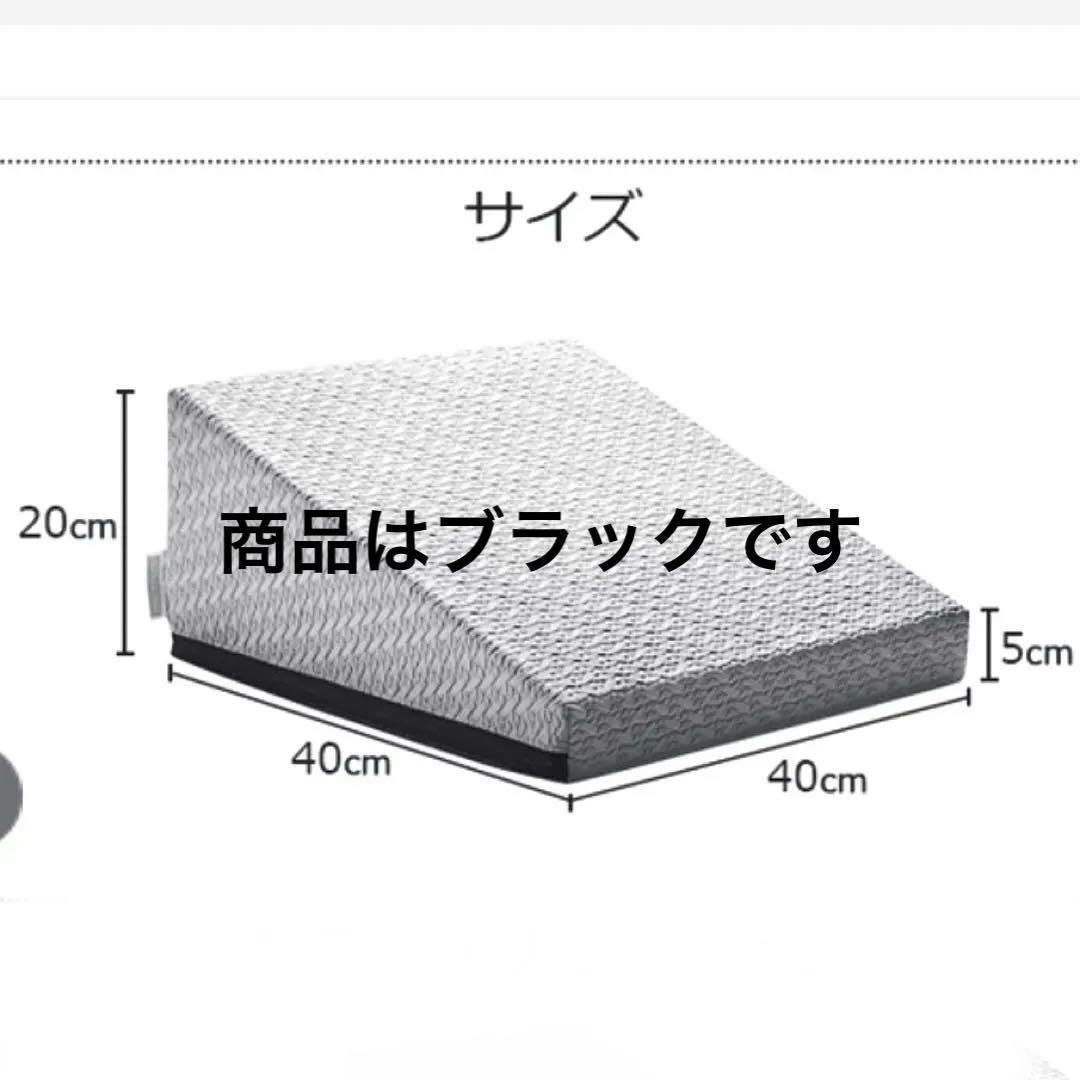 【美品】サンテプラス・フレックスクッション（Flex Cushion）