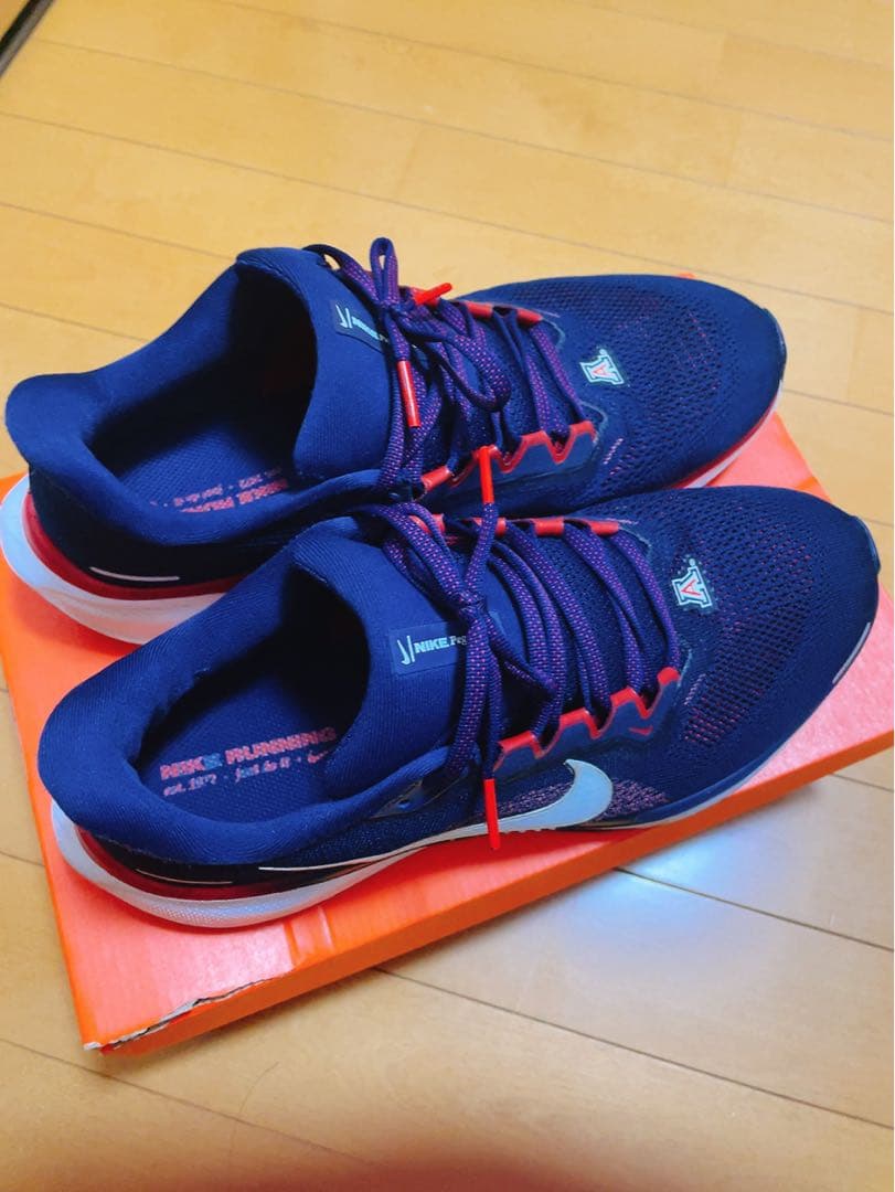 スパイク・シューズ Nike x NCAA Pegasus 41 Arizona 28.0cm