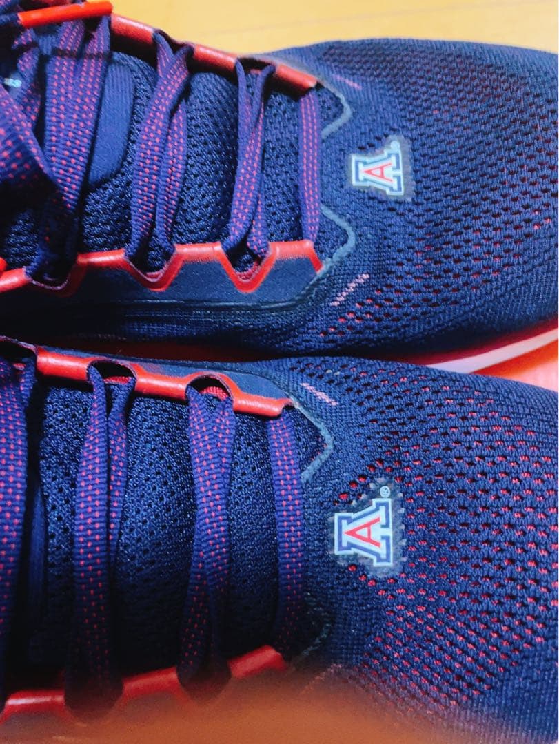 スパイク・シューズ Nike x NCAA Pegasus 41 Arizona 28.0cm