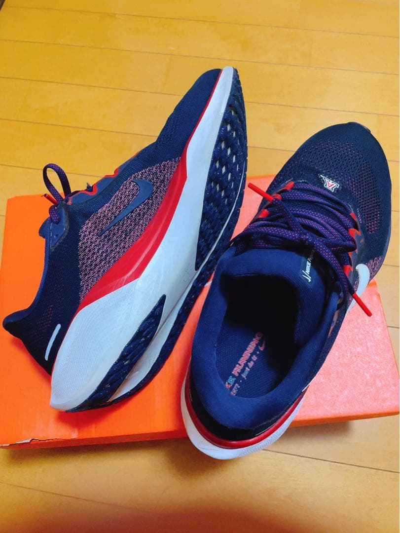 スパイク・シューズ Nike x NCAA Pegasus 41 Arizona 28.0cm