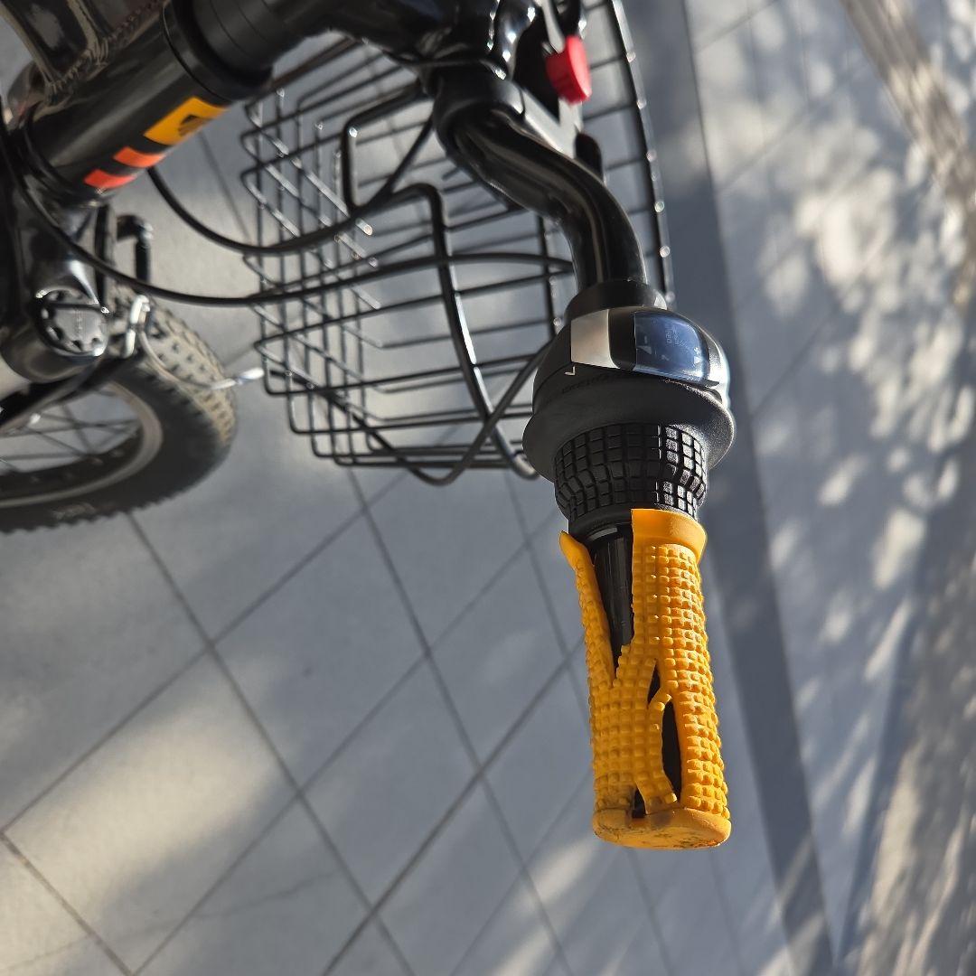 Trek キッズ自転車 20インチ ブラック/オレンジ　(東京都中央区引取のみ)