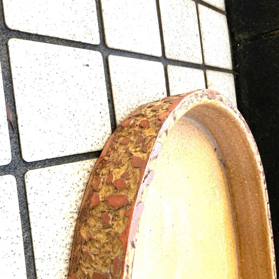 信楽焼 水盤 花瓶 花入れ 火色ちらし 長径52センチ