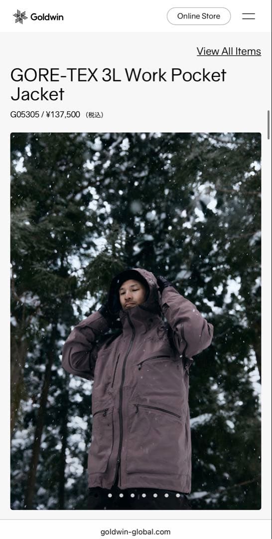 【Goldwin】 GORE-TEX 3L Work Pocket Jacket