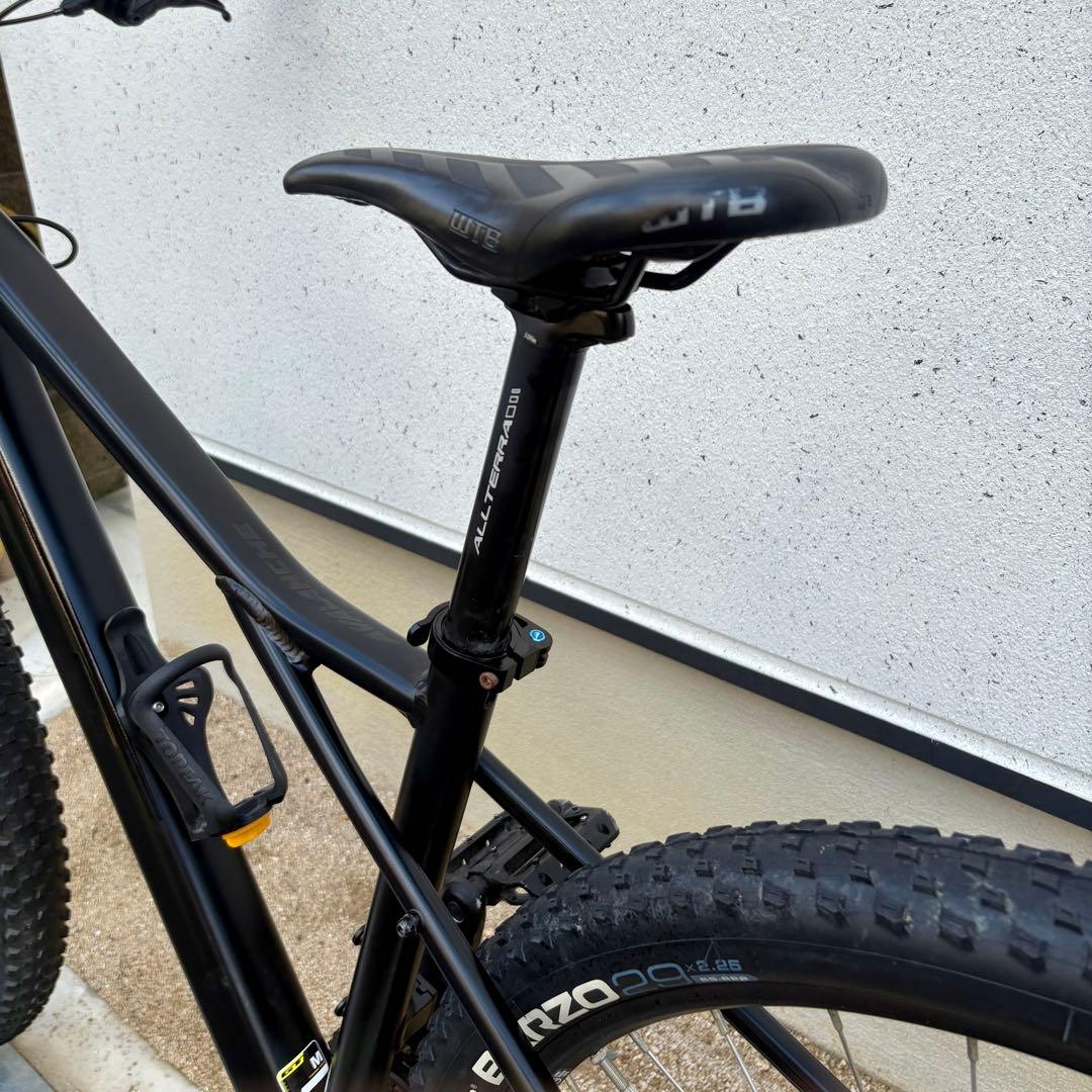 GT Avalanche Expert 29インチ　Mサイズ　2020モデル