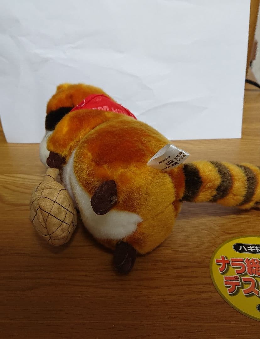 信州ラスカル あらいぐま