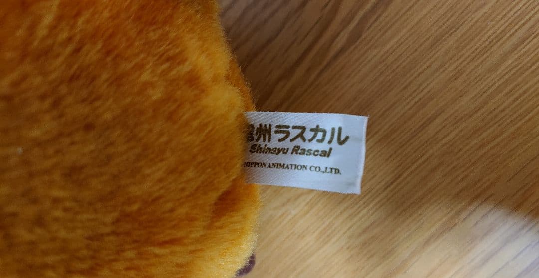 信州ラスカル あらいぐま