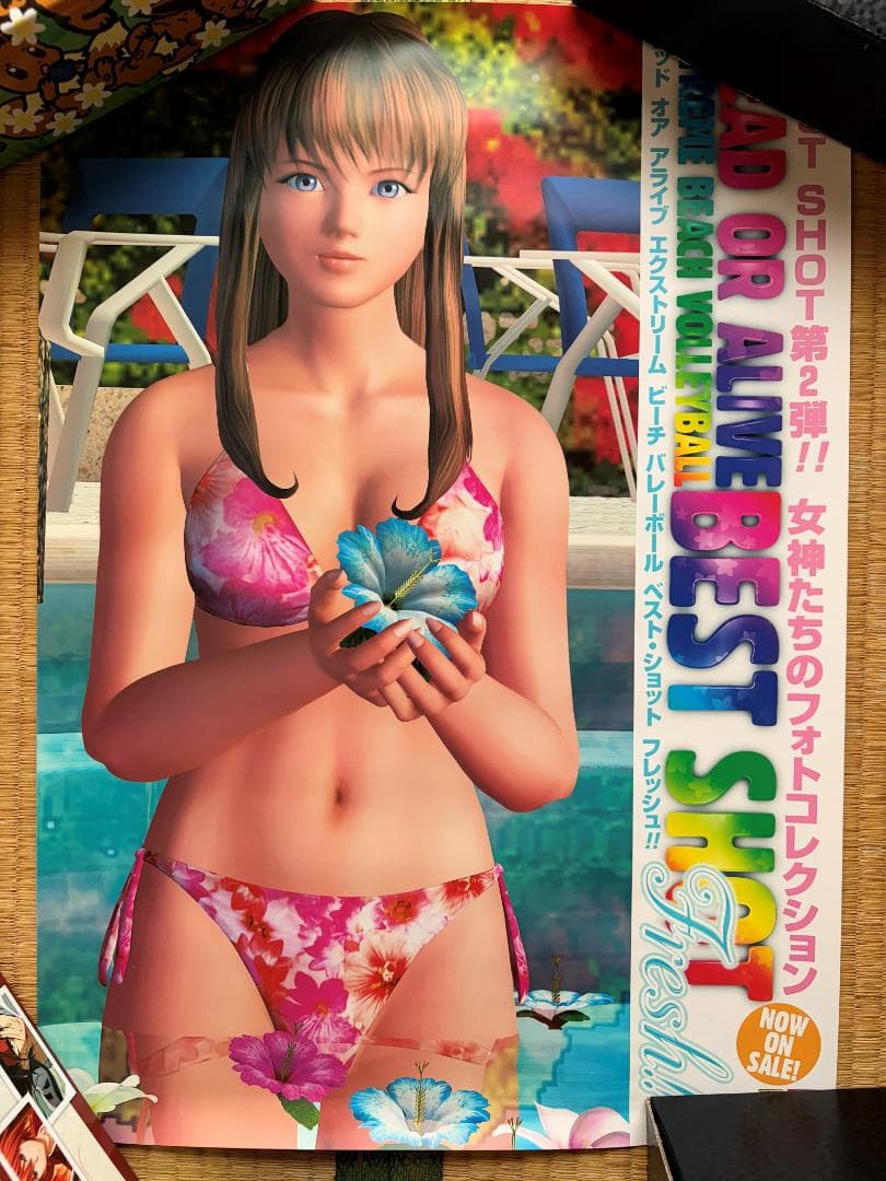 DEAD OR ALIVE ポスター７７枚+おまけ３つ　大量まとめ