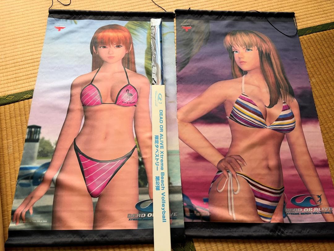 DEAD OR ALIVE ポスター７７枚+おまけ３つ　大量まとめ