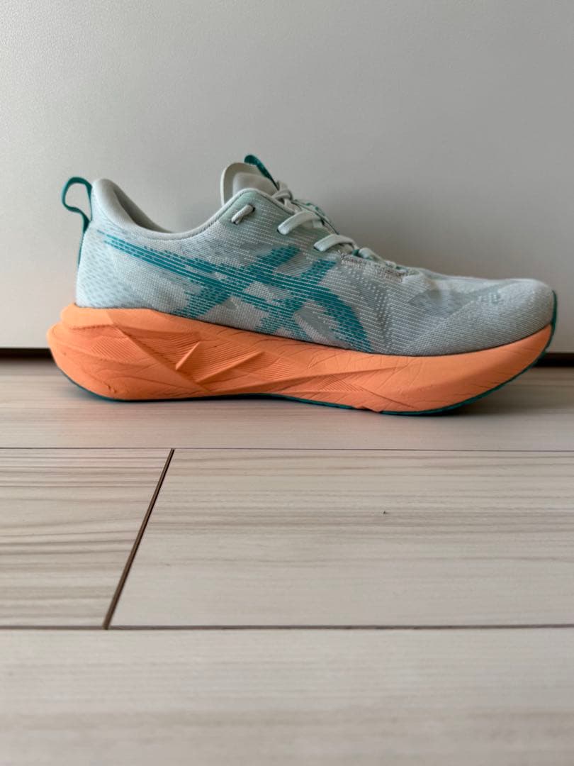ASICS アシックス　NOVABLAST 5 27.0 ノヴァブラスト