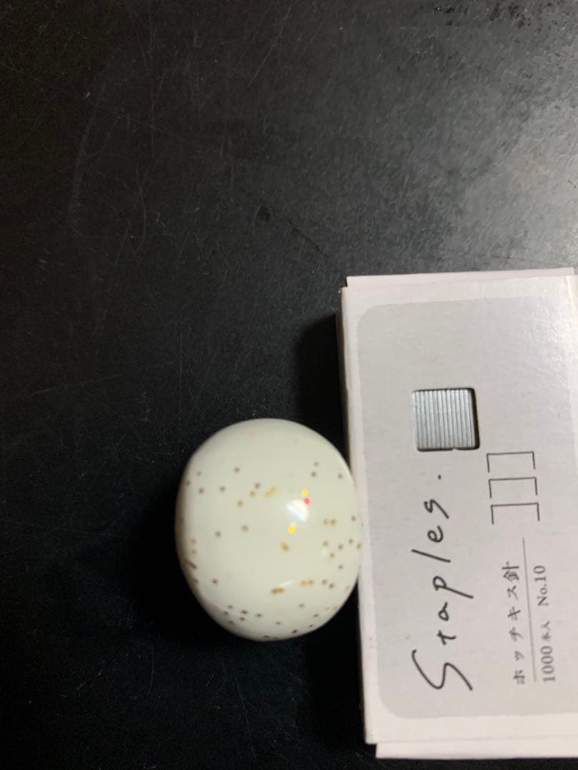 JACKALL ビンビン玉TG 100g ②120g②