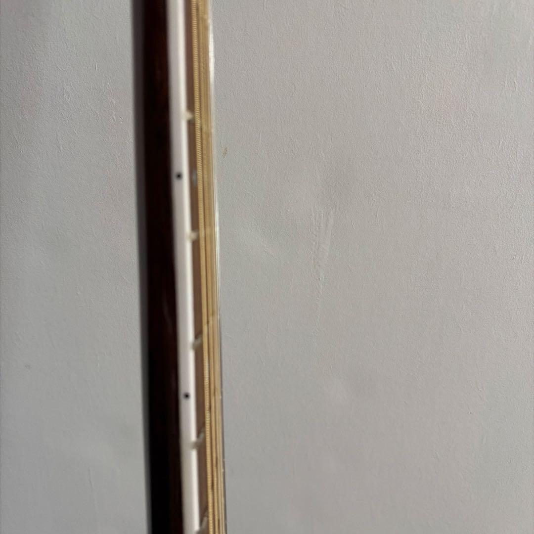 Saga A1 G アコースティクギター