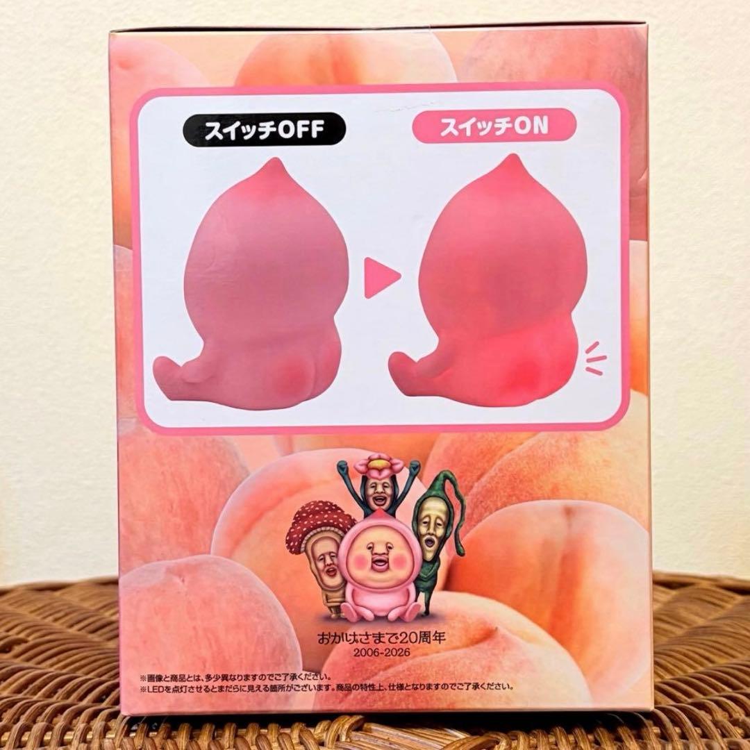 こびとづかん　ルームライト　バスケット　ショルダーバッグ【4点セット】　収納