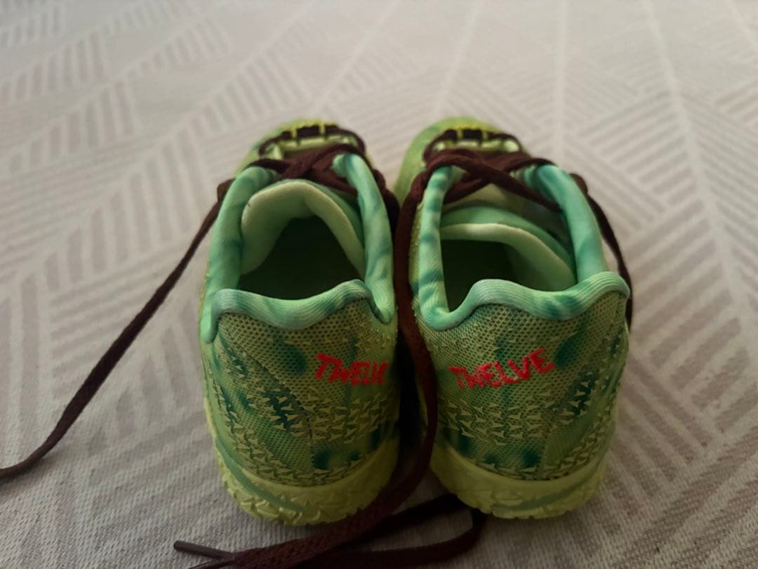 Nike Tierra グリーン バスケットシューズ