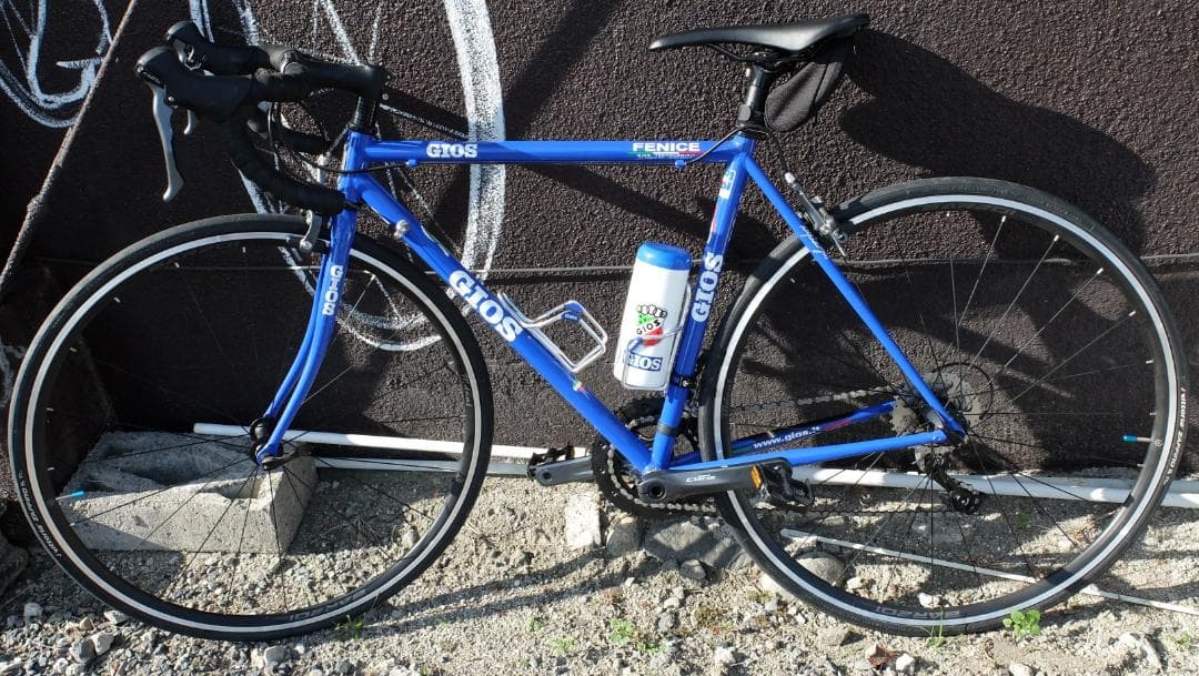 GIOS 　FENICE　50サイズ