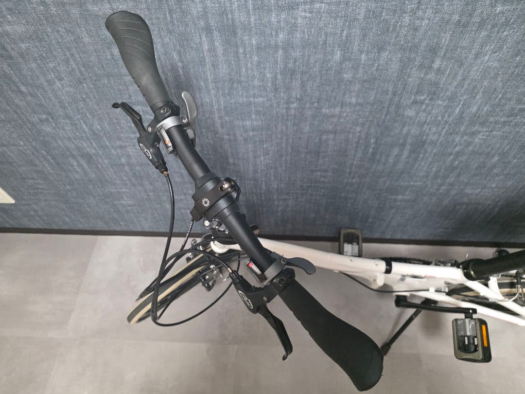 ダホン DAHON Visc P20 折りたたみ自転車 30周年記念