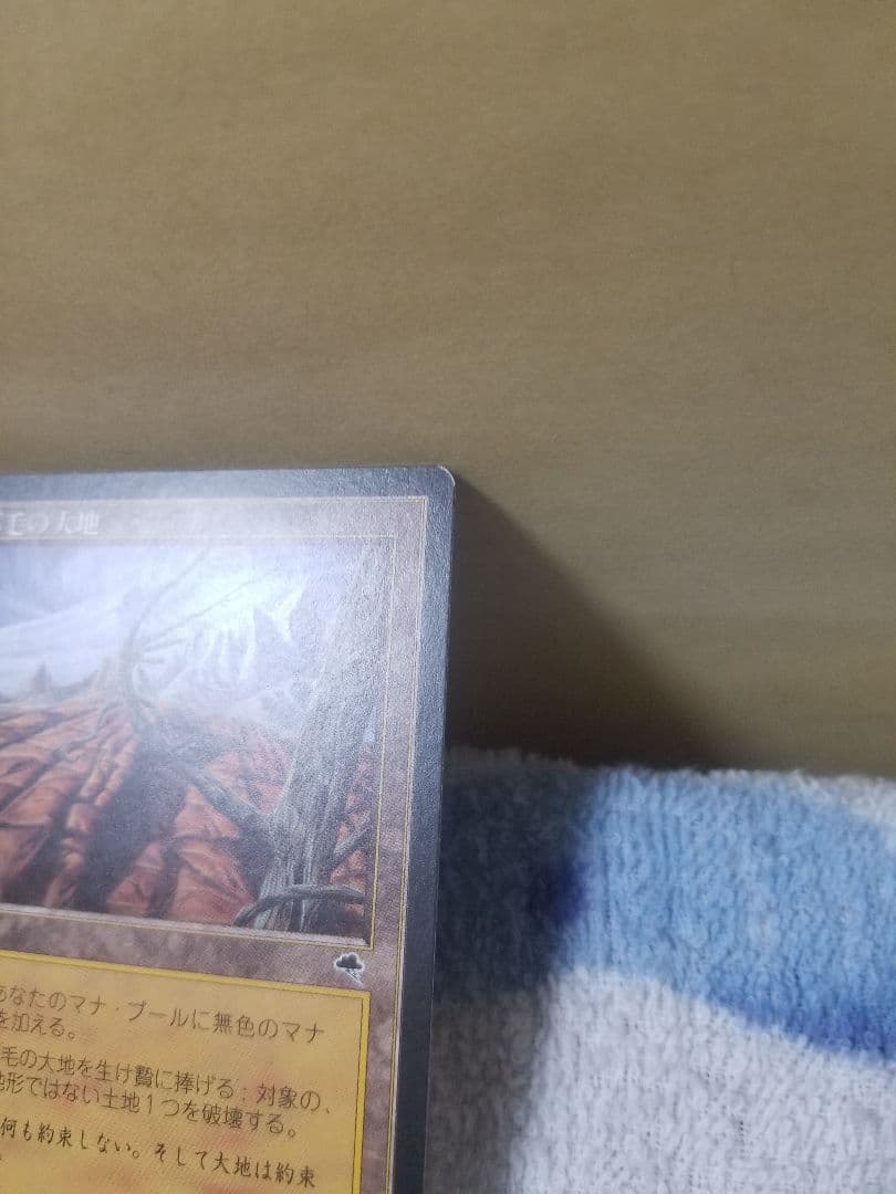 プ*メ様 匿名受取】不毛の大地 Wasteland 2枚